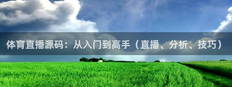 体育直播源码：从入门到高手（直播、分析、技巧）
