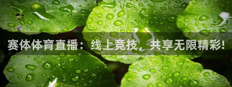 赛体体育直播：线上竞技，共享无限精彩!