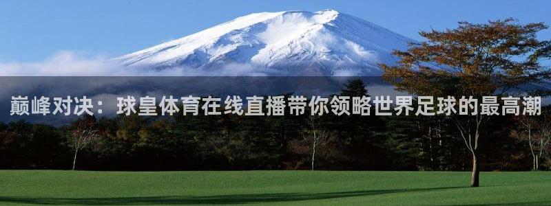 巅峰对决：球皇体育在线直播带你领略世界足球的最高潮
