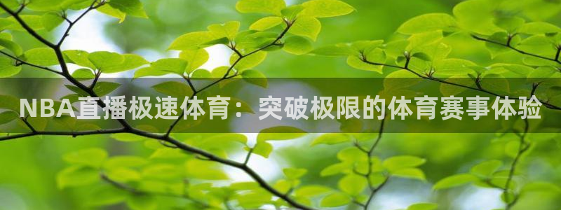NBA直播极速体育：突破极限的体育赛事体验