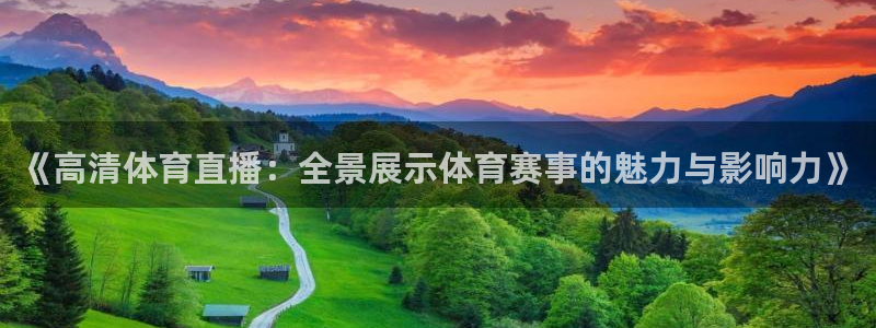 《高清体育直播：全景展示体育赛事的魅力与影响力》