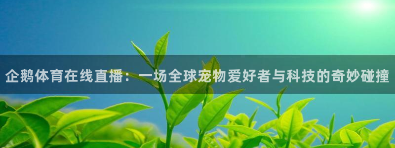 企鹅体育在线直播：一场全球宠物爱好者与科技的奇妙碰撞