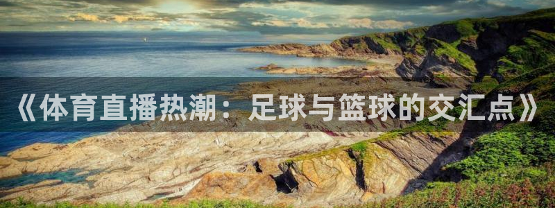 《体育直播热潮：足球与篮球的交汇点》