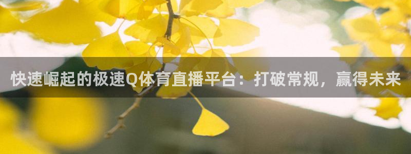 快速崛起的极速Q体育直播平台：打破常规，赢得未来