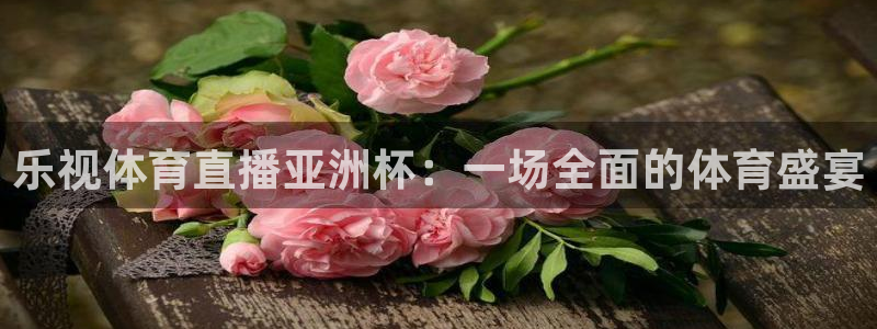 乐视体育直播亚洲杯：一场全面的体育盛宴